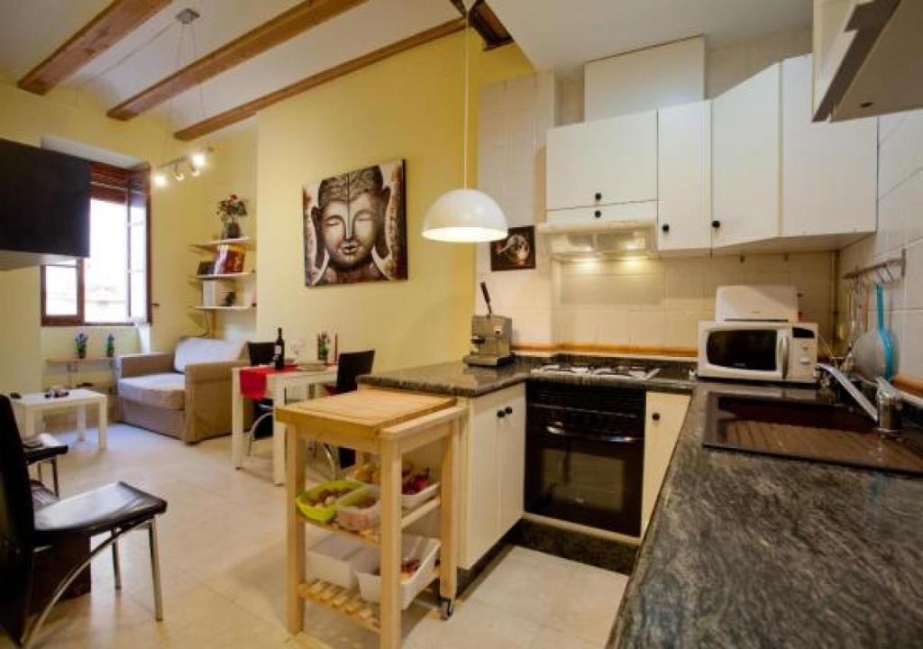 Kuchyň nebo kuchyňský kout v ubytování Apartament in historic center