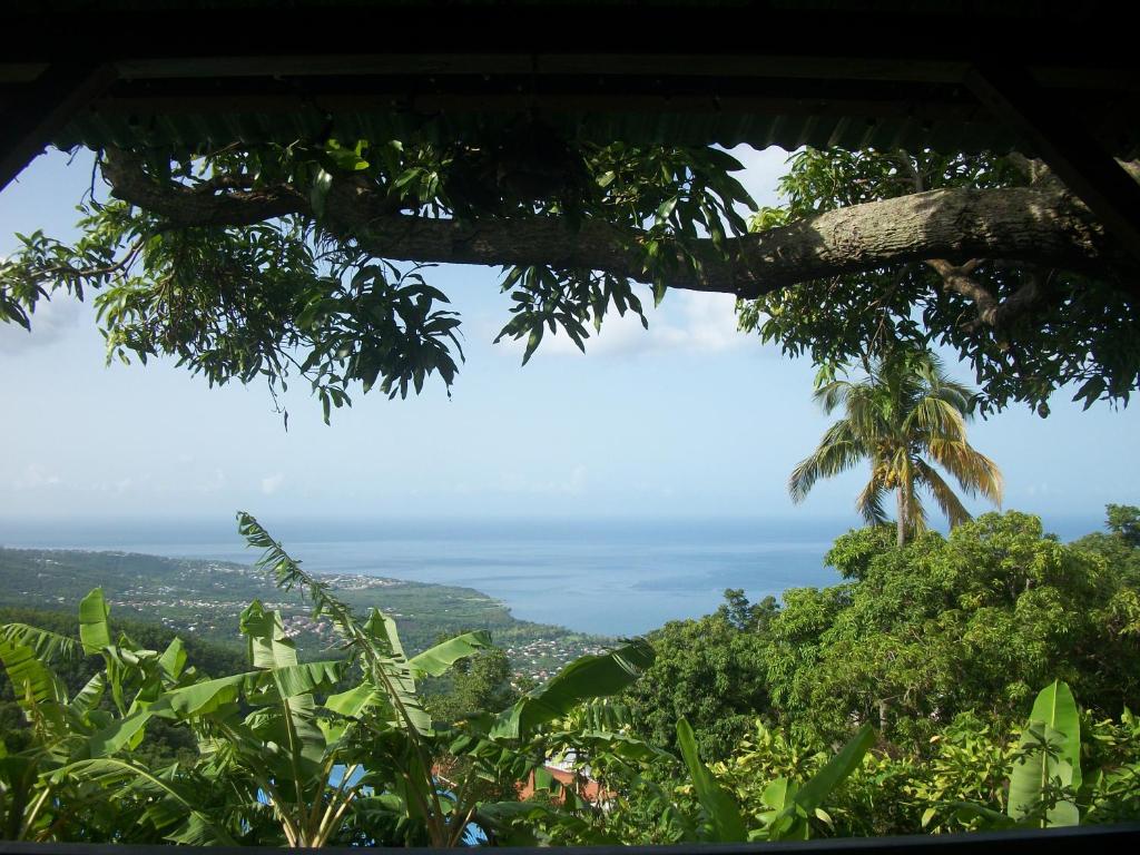 una vista del océano desde un árbol en mango tree lodge, en Bouillante