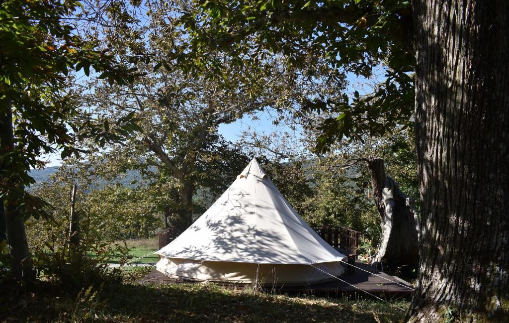 Příroda nedaleko luxury tent