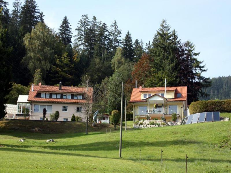 una casa en una colina con un campo de hierba en Haus Haag, en Enzklösterle