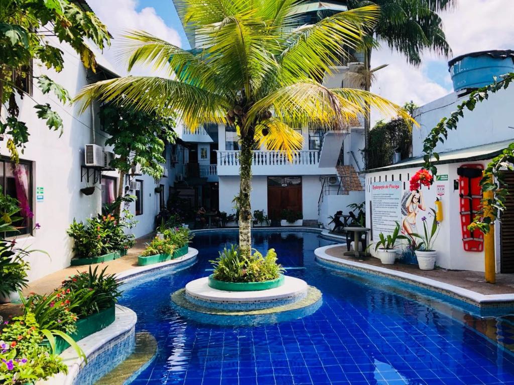 una palmera en medio de una piscina en Hotel Yurupary AMAZONAS, en Leticia