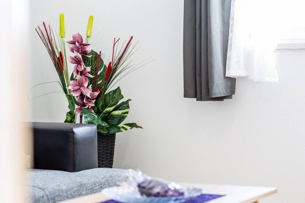 Fotografie z fotogalerie ubytování Apartments Franičević v destinaci Sućuraj