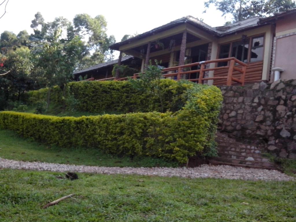 Zahrada ubytování Bwindi Forest Lodge