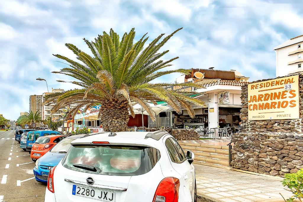 une voiture blanche garée à côté d'un palmier dans l'établissement Jardines Canarios, à Los Cristianos