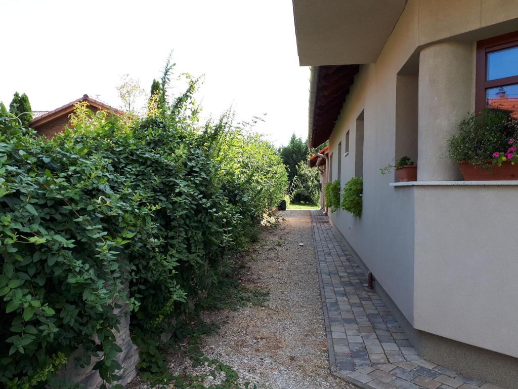 Kertvárosi Apartman - Appartement Met Terras