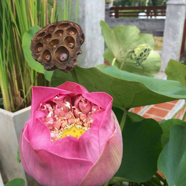 Arthaya Villas - SHA Extra Plus - 9