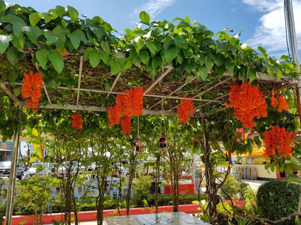 The BluEco Hotel SHA Plus - Resim 34