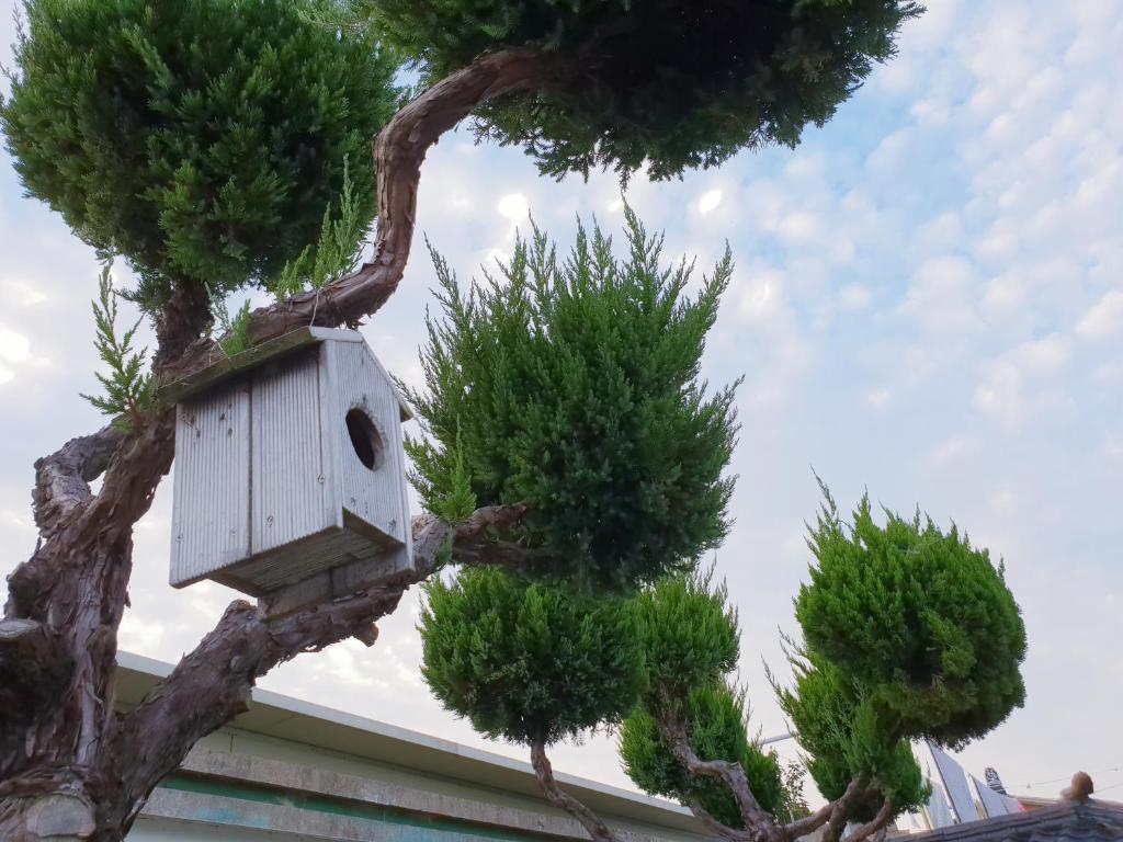 Fotografie z fotogalerie ubytování Hanok Raon v destinaci Kjongdžu