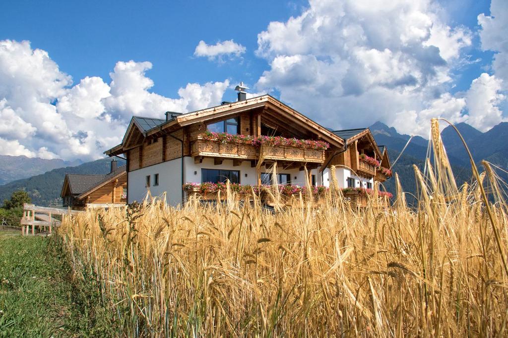a house on top of a field of tall grass at Alpinium - inklusive SUPER SOMMER CARD in Fiss