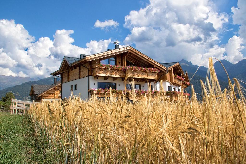 a house on top of a field of tall grass at Alpinium - inklusive SUPER SOMMER CARD in Fiss