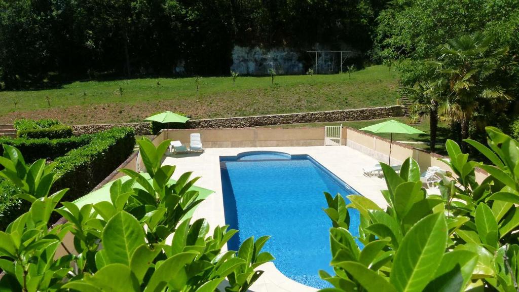 una piscina en un patio con plantas verdes en Résidence Monfort en Sarlat-la-Canéda