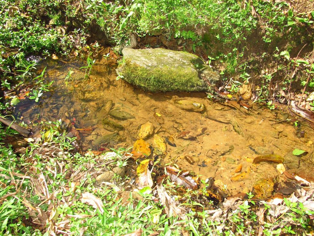  Chalé Caminho Das Cachoeiras