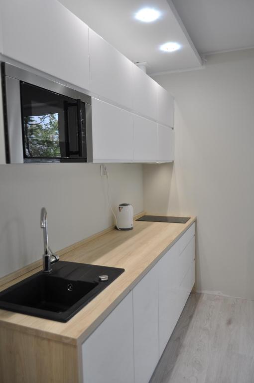 Kuchyň nebo kuchyňský kout v ubytování Apartamenty Feniks & Pegaz