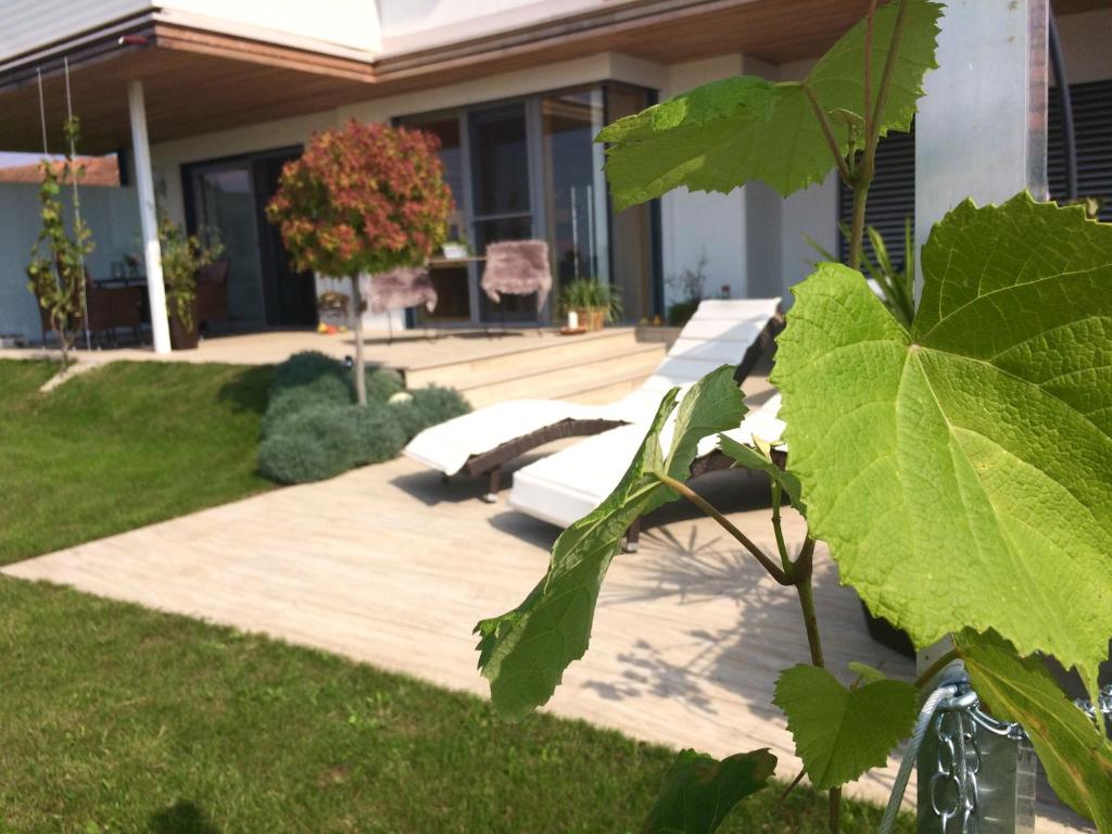 Nikolaier Weinblick - Ferienwohnung Muskateller - Vakantiehuis
