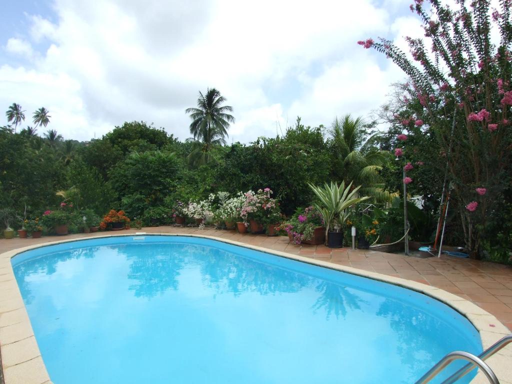 una grande piscina blu con fiori e alberi di La Villa Belle a La Trinité