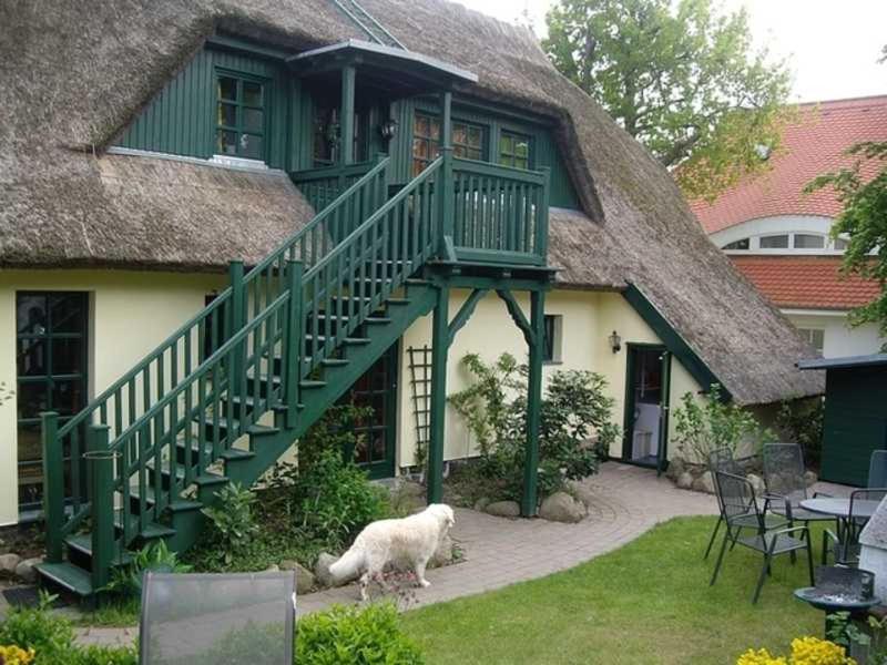 a sheep standing in front of a house with a staircase at Schilfdachvilla Zeesboothaus WE308 in Kleinhagen