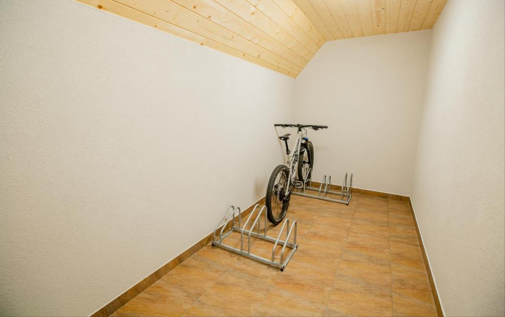 Jízda na kole v ubytování Apartmány a štúdiá Miroslav nebo okolí
