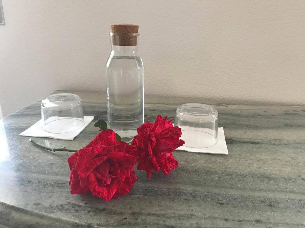 HappySintra GuestHouse by Casa do Preto - 5