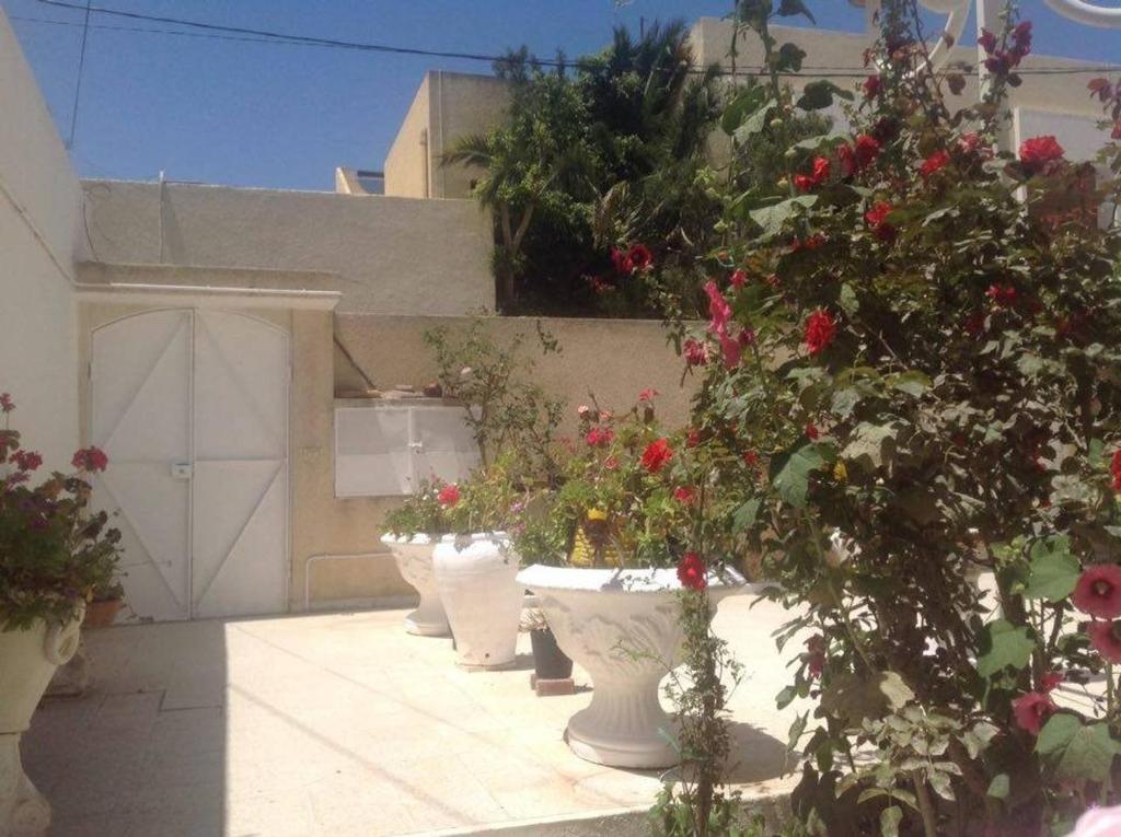 a row of white pots filled with flowers on a building at Studio en plein zone touristique avec wifi, IPTV et Clim in Sousse