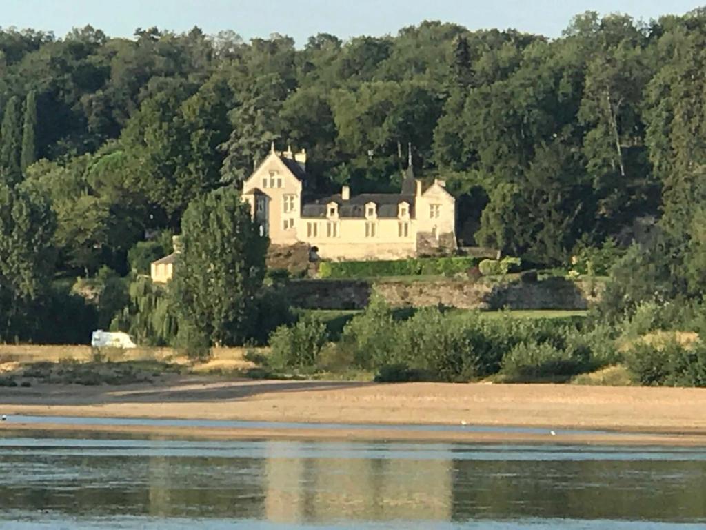 a large white house on a hill next to a body of water at Manoir de Beauregard - Cunault in Trèves-Cunault