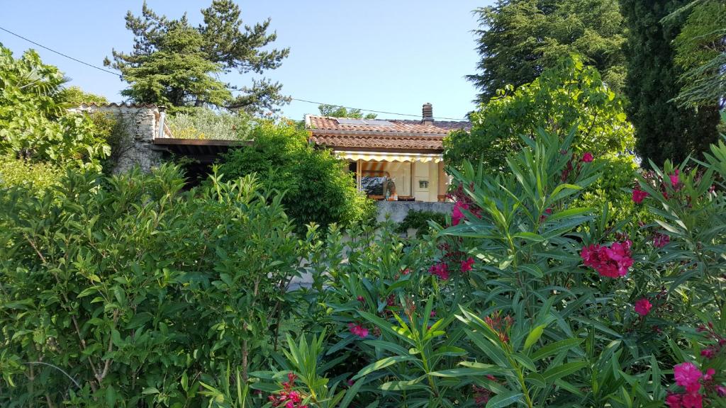 un jardín con flores y una casa de fondo en Rêve de Provence Villa avec jardin et piscine, en Forcalquier
