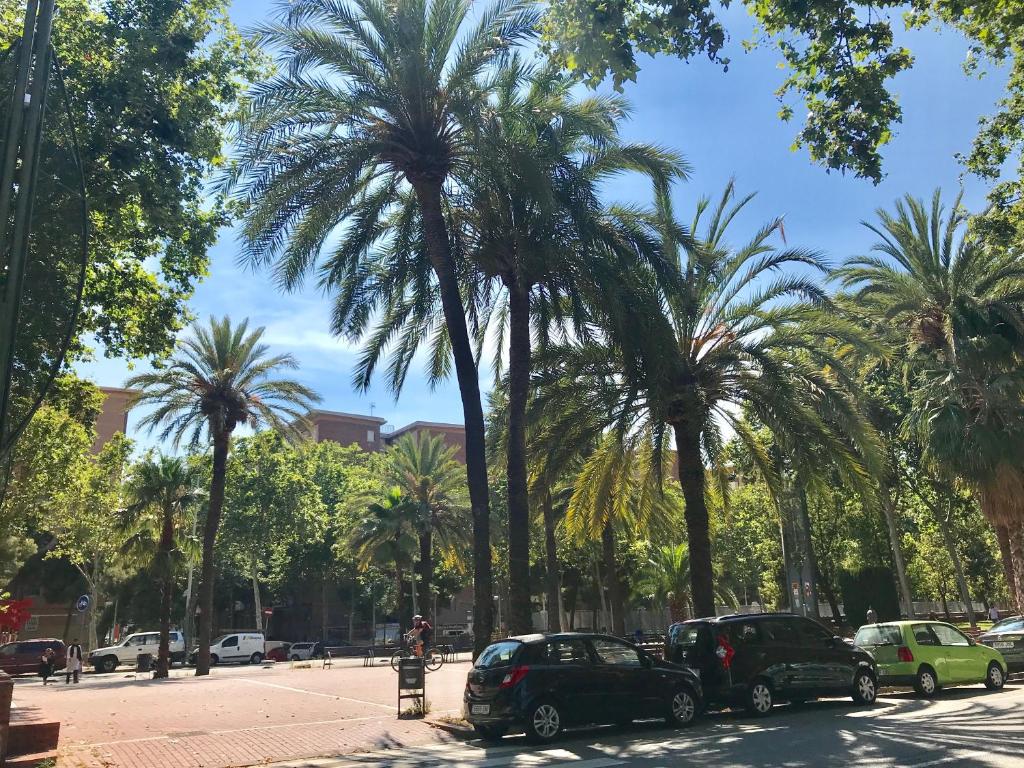 Fotografie z fotogalerie ubytování Nova Mar Bella Apartment v destinaci Barcelona