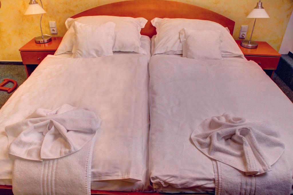 BIRDIE Pension & Wellness - Double Room With Private Bathroom