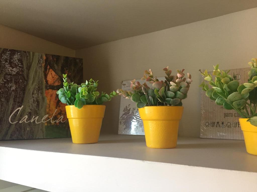  Apartamento em Canela