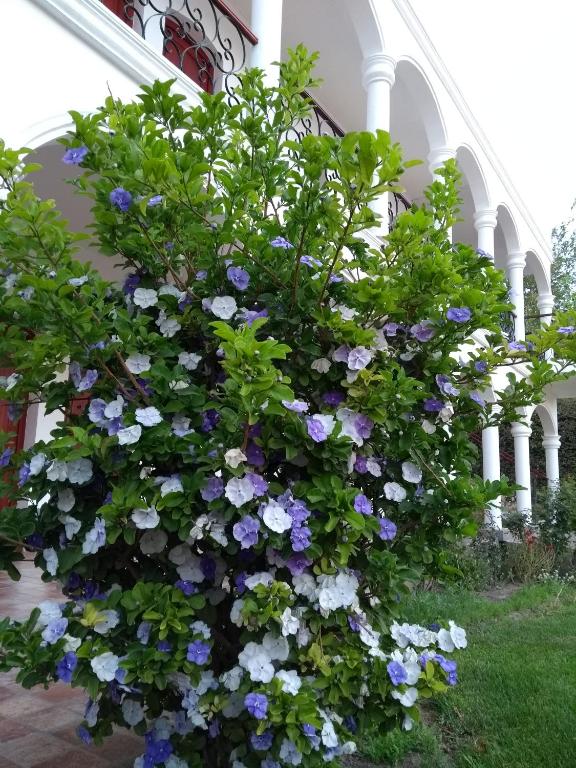 Hotel Portal del Santo