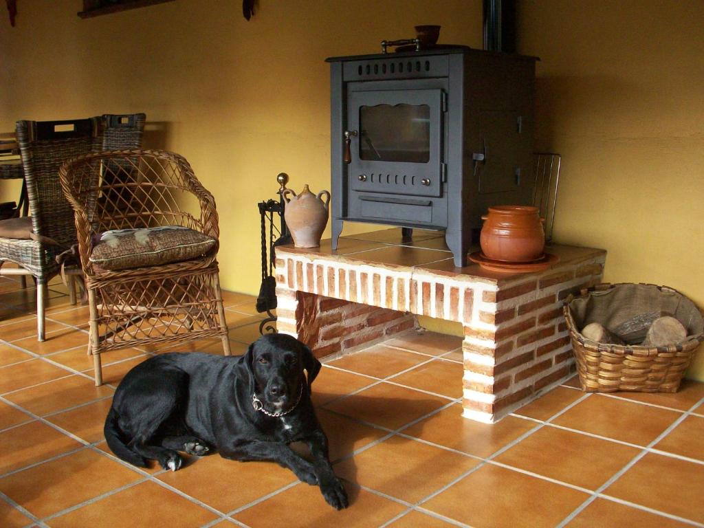 un perro negro tirado en el suelo frente a una estufa en Albergue Estrella Del Camino, en Frómista