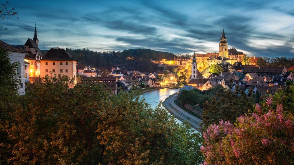 Villa Conti - Resim 38