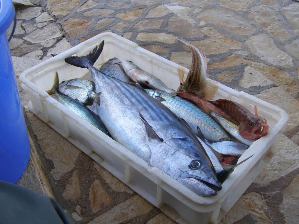 a container of fish sitting on a stone floor at Apartments Miki in Donja Klada