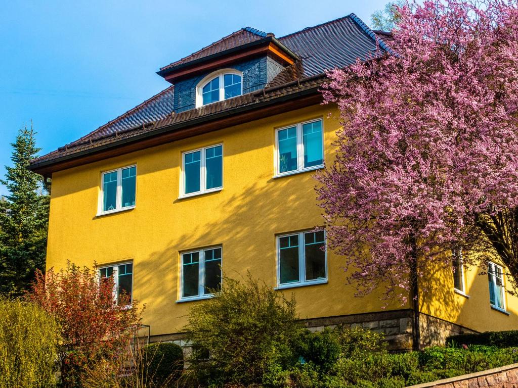 ein gelbes Haus mit weißen Fenstern und einem Baum in der Unterkunft Apartment with sauna in Sch nbrunn Thuringia in Schönbrunn