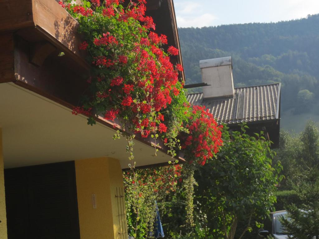 Nespecifikovaný výhled na hory nebo výhled na hory při pohledu z hotelu