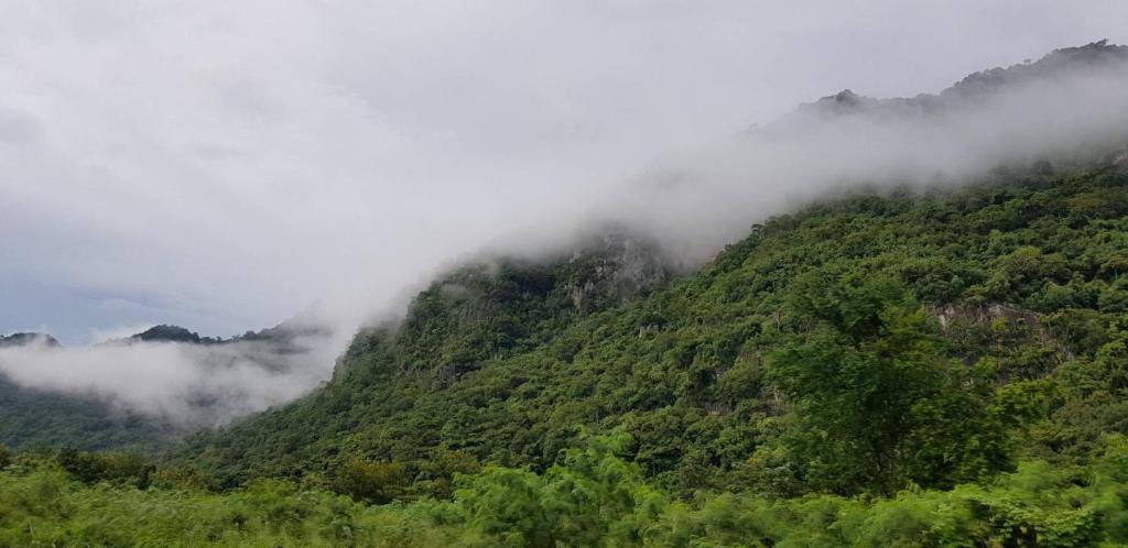een berg bedekt met mist en wolken met bomen bij Panorama view of the world in Phayayen