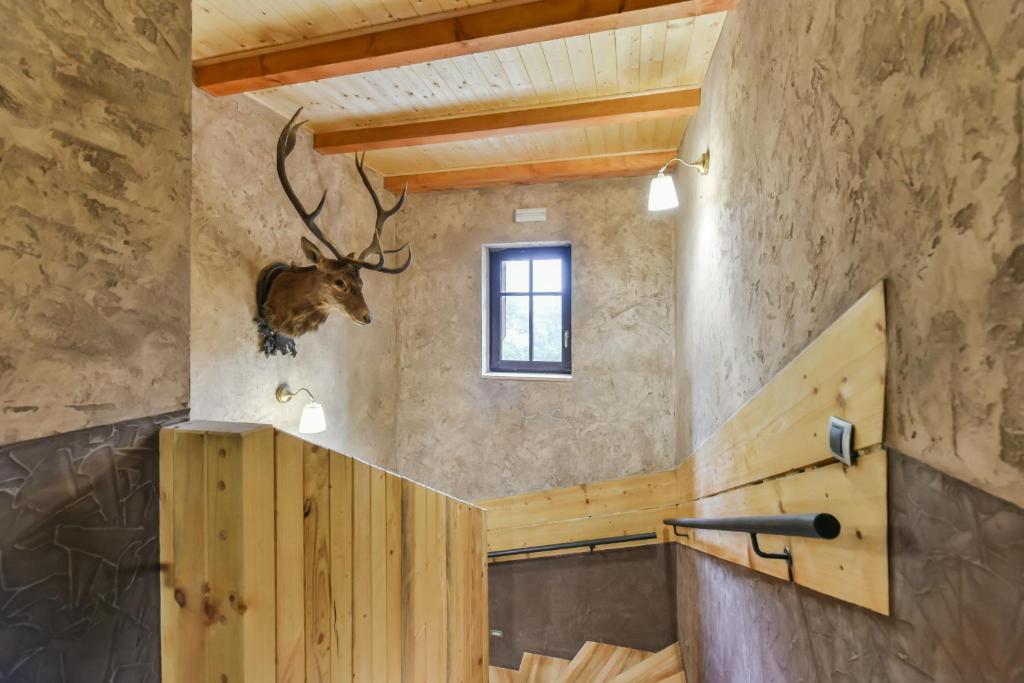 Fotografie z fotogalerie ubytování Chata Bramberk v destinaci Lučany nad Nisou