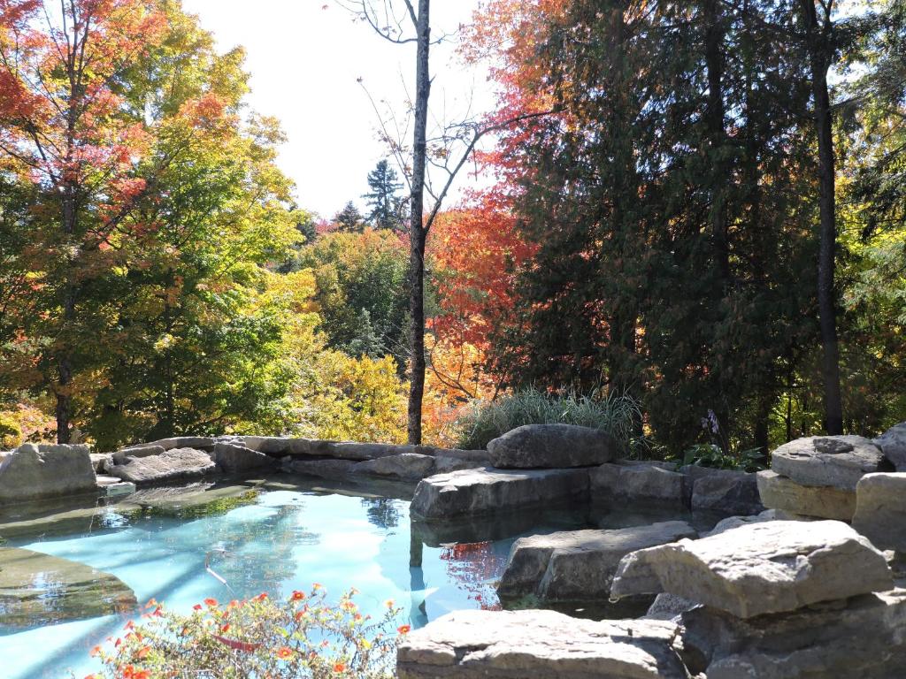 une piscine avec un mur de roche dans un jardin dans l'établissement Auberge Spa & Beaux Reves, à Sainte-Adèle
