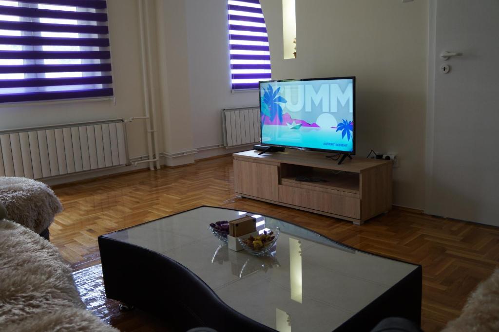 TV a/nebo společenská místnost v ubytování Apartman Aleksandar