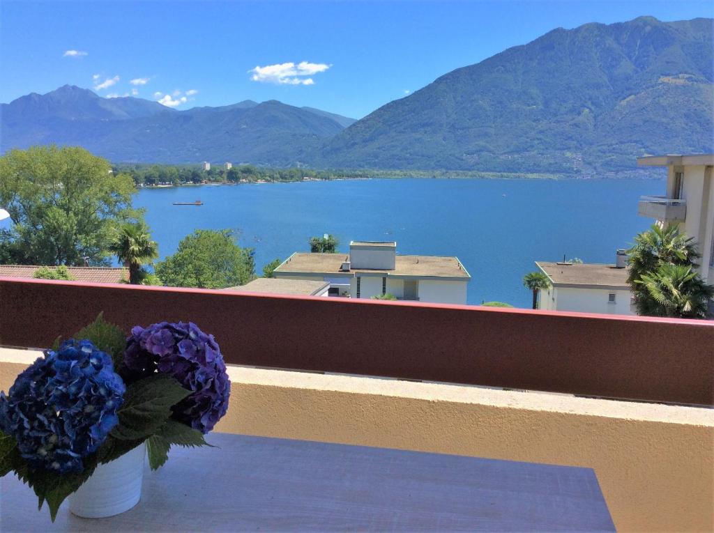 a vase of flowers on a balcony with a view of a lake at Belinda in Minusio