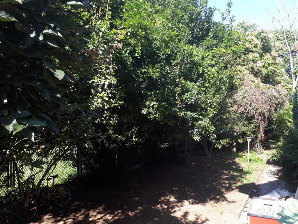 a wooded area with trees and bushes at La casa di Mango e Pistacchio in Segrate