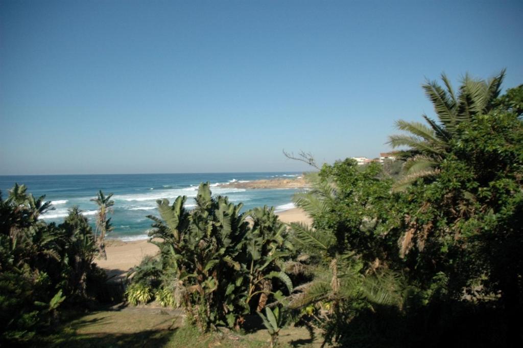 einen Strand mit Palmen und dem Meer in der Unterkunft Ramsgate Palms B in Ramsgate