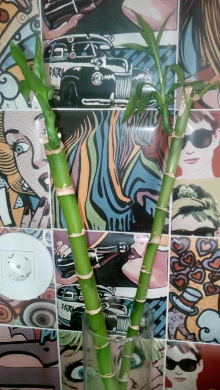 Apartamentos 14DeSande - 15