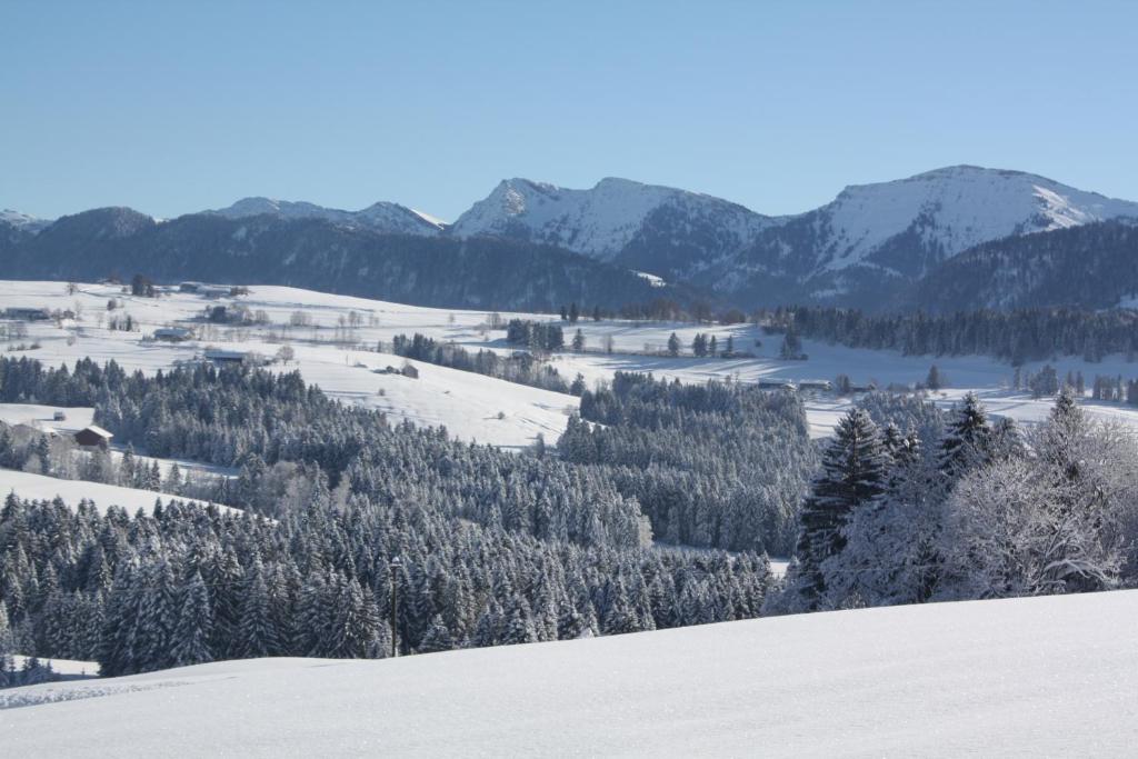 einen schneebedeckten Hügel mit Bäumen und Bergen im Hintergrund in der Unterkunft Ferienwohnung Nagelfluh Allgäu in Oberreute