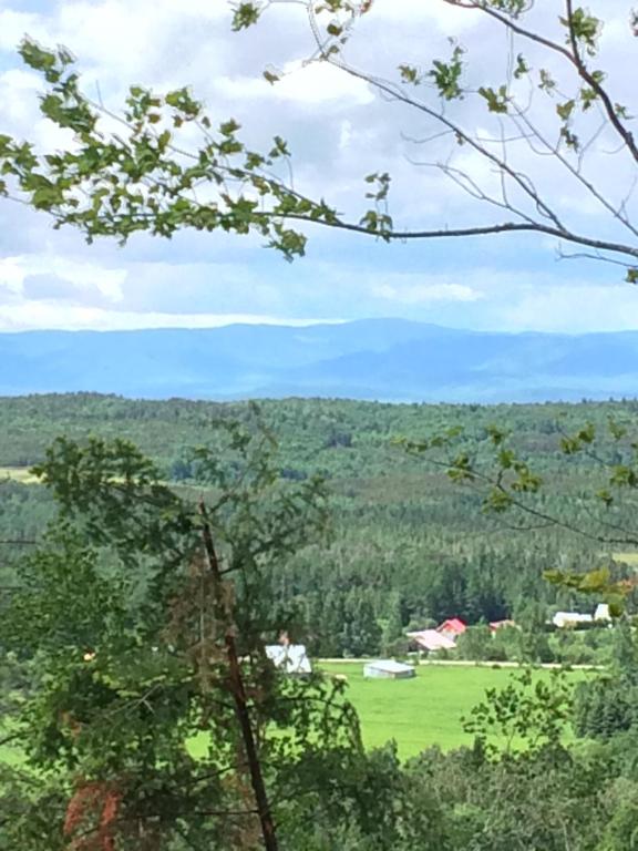 a view of a green field and trees at L'Aubergine in Saint Hilarion