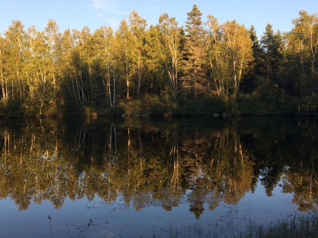 Loodusmaastik võõrastemaja lähedal