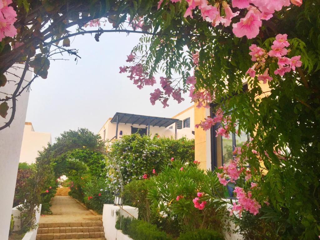 an archway with pink flowers in a garden at Villa Jardins de la Lagune in Oualidia