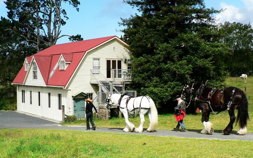 two horses are standing in front of a house at The Carriage House-Bay of Islands in Kerikeri
