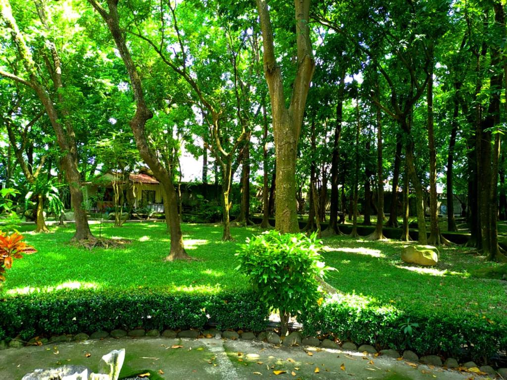 Zahrada ubytování Meinong Yun Shanju Homestay