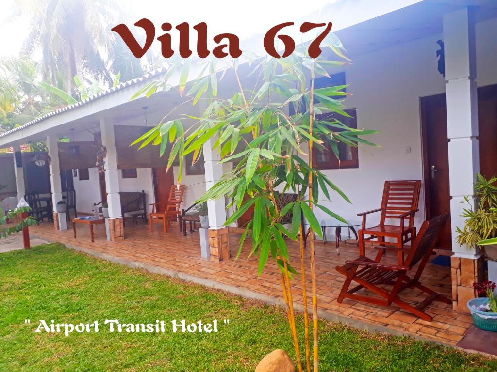 a house with a palm tree in the yard at Villa 67 in Negombo