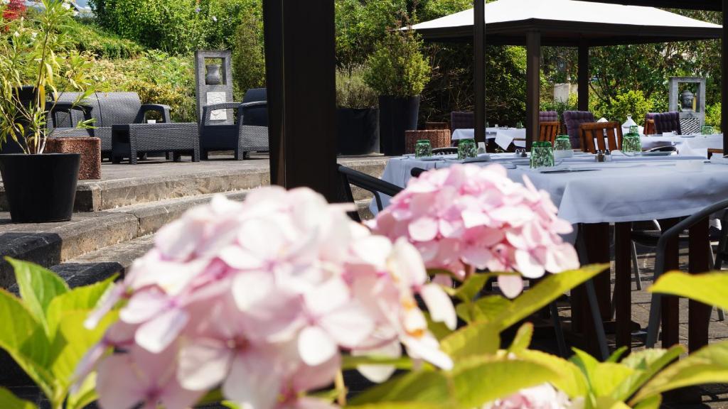 Hotel Olivier - Resim 14